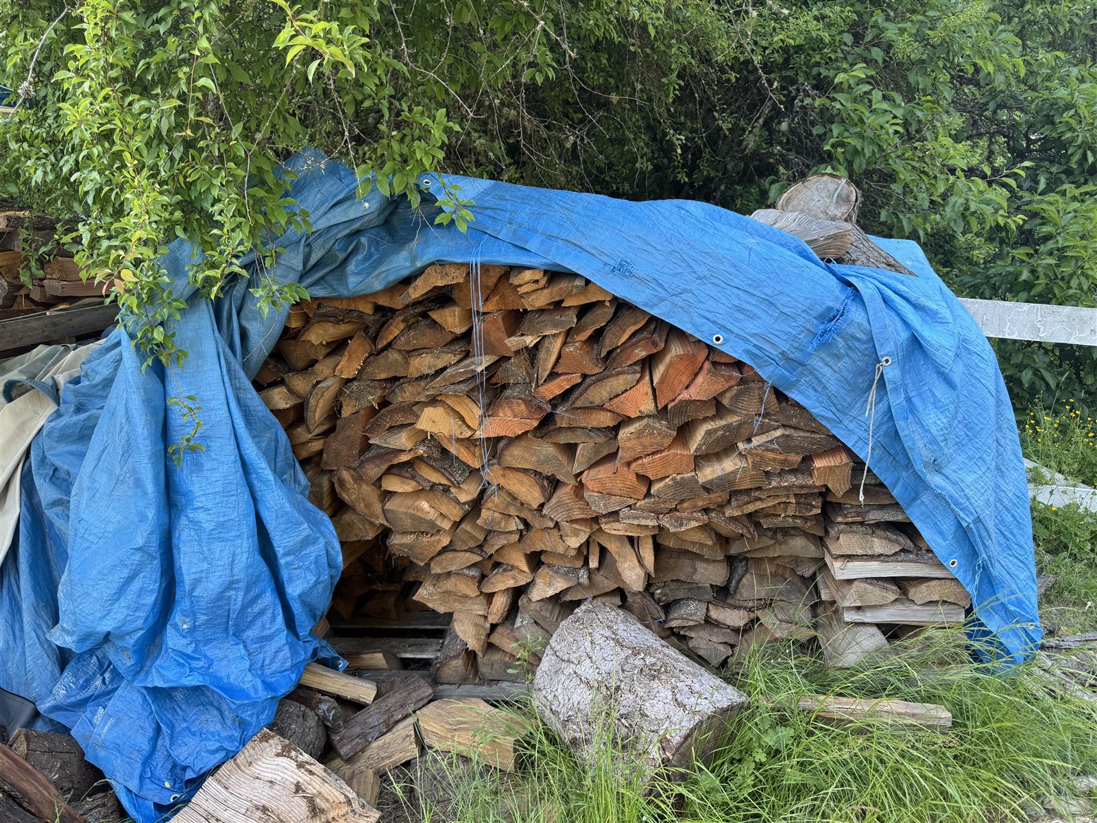 Firewood stack covered with a tarp to keep it seasoned and dry