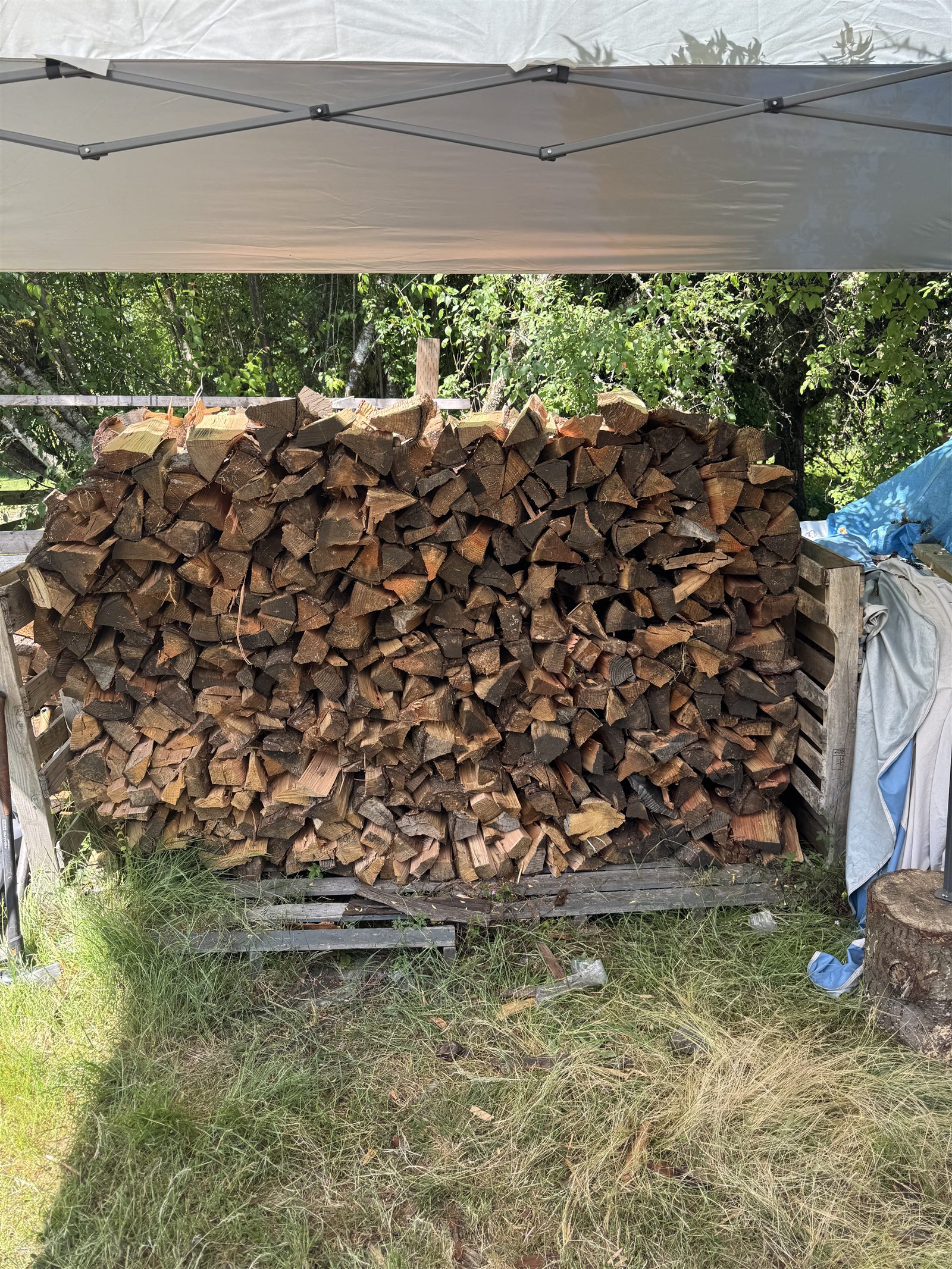 Neatly stacked cord of seasoned firewood under a canopy